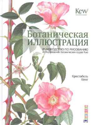 Книга Ботаническая иллюстрация: руководство по рисованию ботанических садов