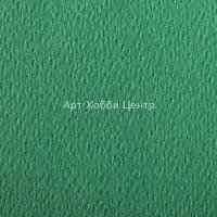 Бумага для пастели Etival color 160г/м2 50х65см №78 темно-зеленый