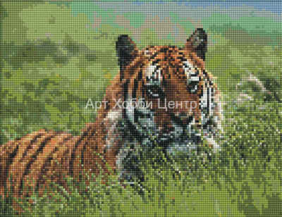 Картина стразами на подрамнике Тигр 30х40см С588