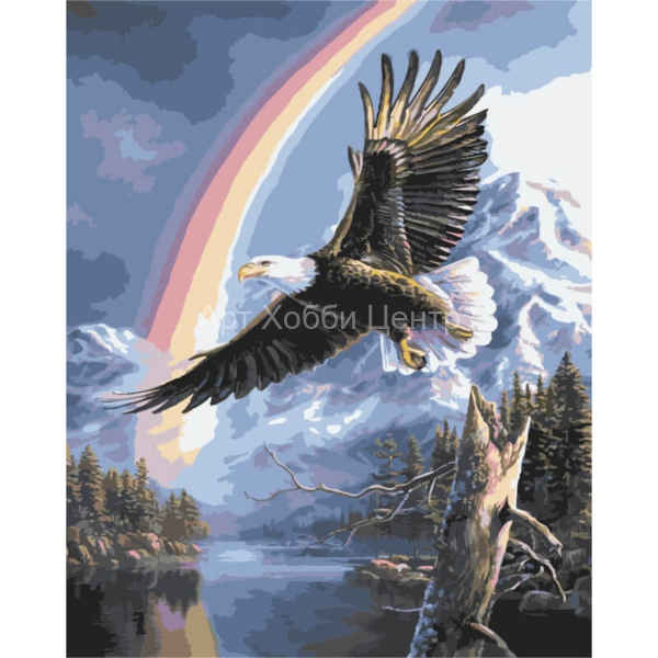 Живопись на холсте по номерам Орел и радуга 40х50см Цветной мир