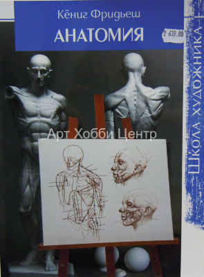 Книга Школа художника. Анатомия