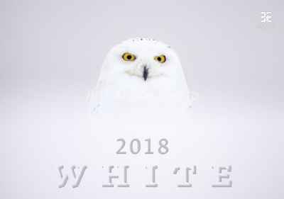 Календарь перекидной 48,5х34см на 2018год Белый