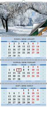 Календарь перекидной 29х29см на 2019год  Родные просторы