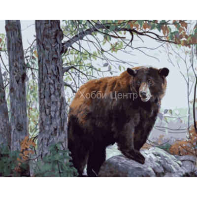 Живопись на холсте по номерам Бурый медведь 40х50см Цветной мир