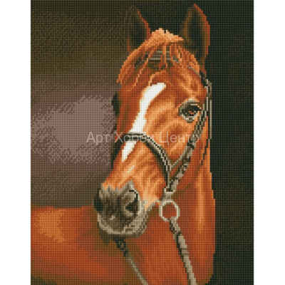 Картина стразами на подрамнике Каштановая лошадь 40х50см Цветной мир