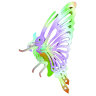 Сборная модель Бабочка цветная EC004