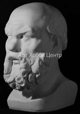 Голова Сократа гипс 10-103