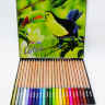 Набор карандашей цветных  Artist 24 цвета Colorino в металлической коробке