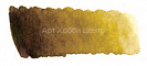Краска акварель Mijello Mission Gold №563 умбра натуральная №1 15мл