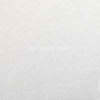 Бумага для пастели Etival color 160г/м2 50х65см №90 белый