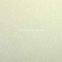 Бумага для пастели Etival color 160г/м2 50х65см №92 бледно-зеленый