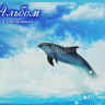 Альбом для рисования 21х29,7см 40л Дельфины скоба