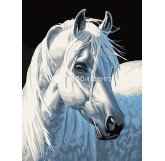 Живопись на холсте по номерам Белая лошадь 30х40см Белоснежка